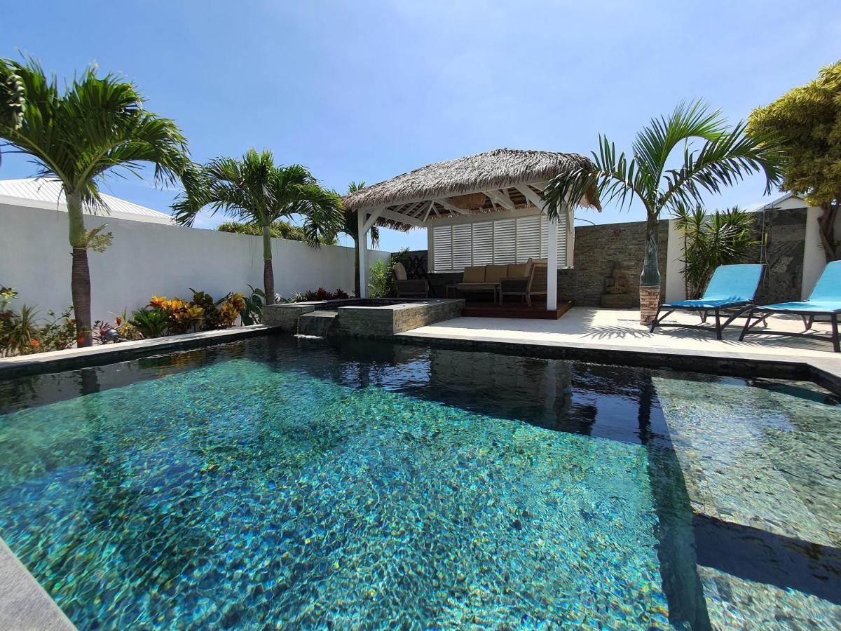La Villa Rosaya - Piscine & Jacuzzi Saint Pierre Eksteriør billede